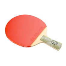 X6007---红双喜直拍双面长反胶乒乓球拍
